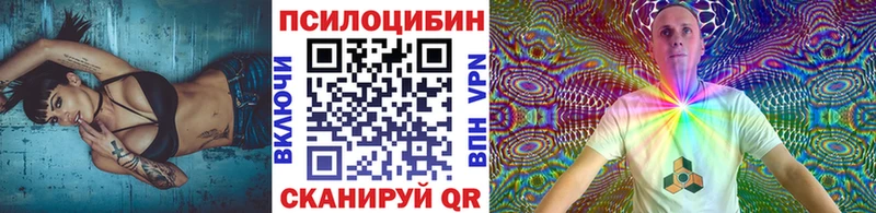 Псилоцибиновые грибы мицелий  дарнет шоп  Кубинка 